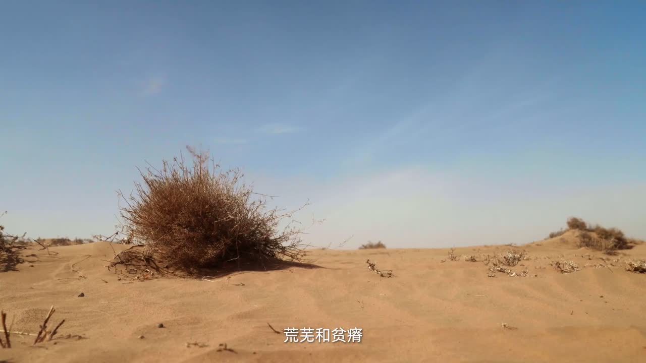 成片画面 · 00:30
